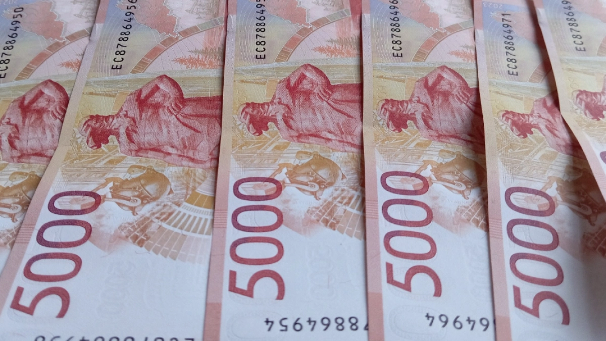 Двух жителей Ардатовского района ждет суд за мошенничество