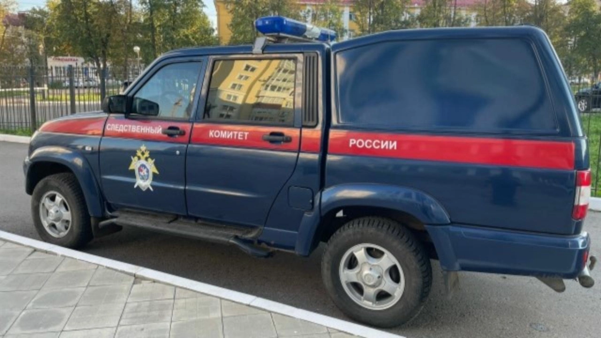 Уголовное дело за нацистскую символику: в Мордовии перед судом предстанет 21-летний житель Саранска