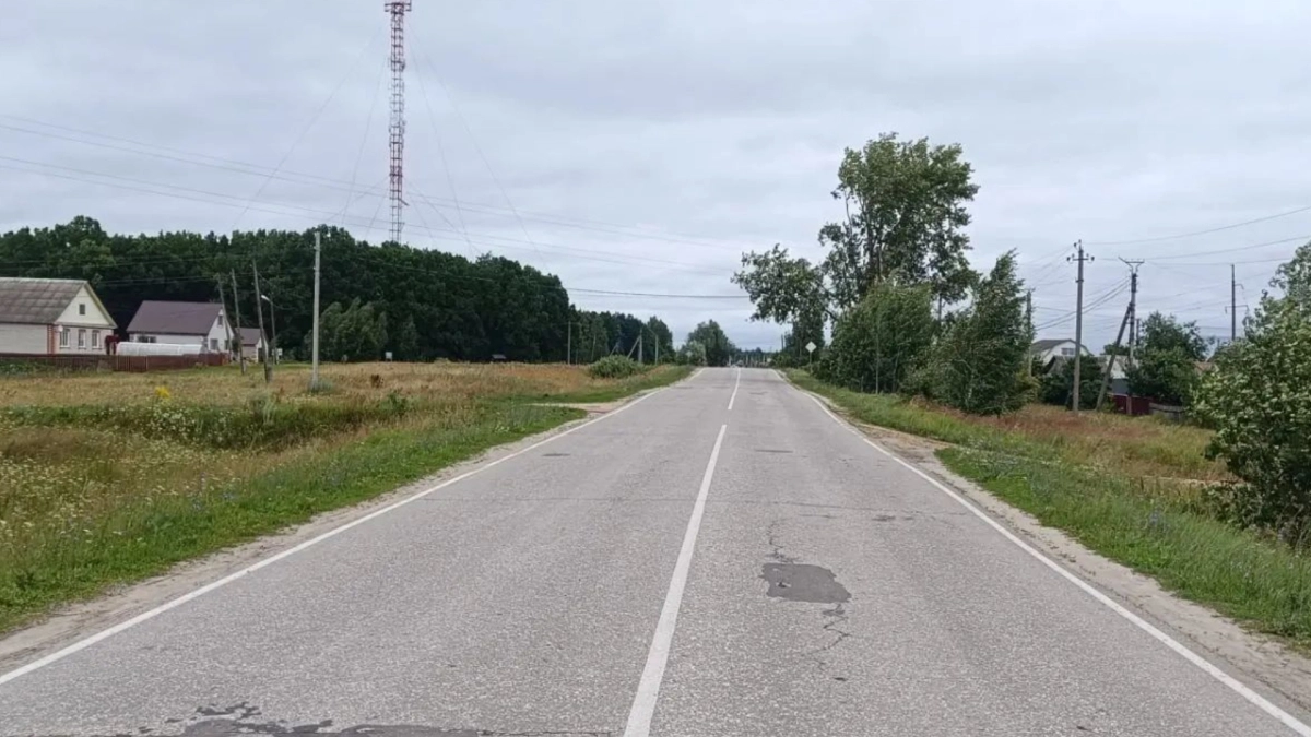 В Мордовии 71-летняя велосипедистка попала в аварию