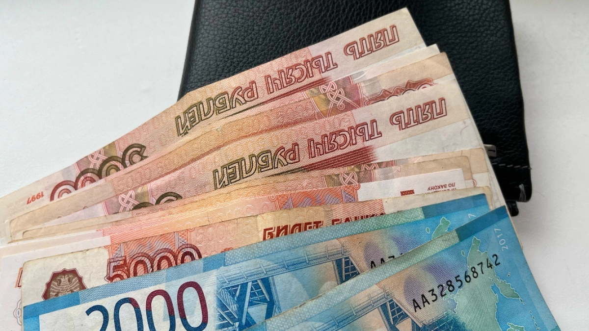 Жительницу Саранска оштрафовали за мошенничество с соцвыплатами