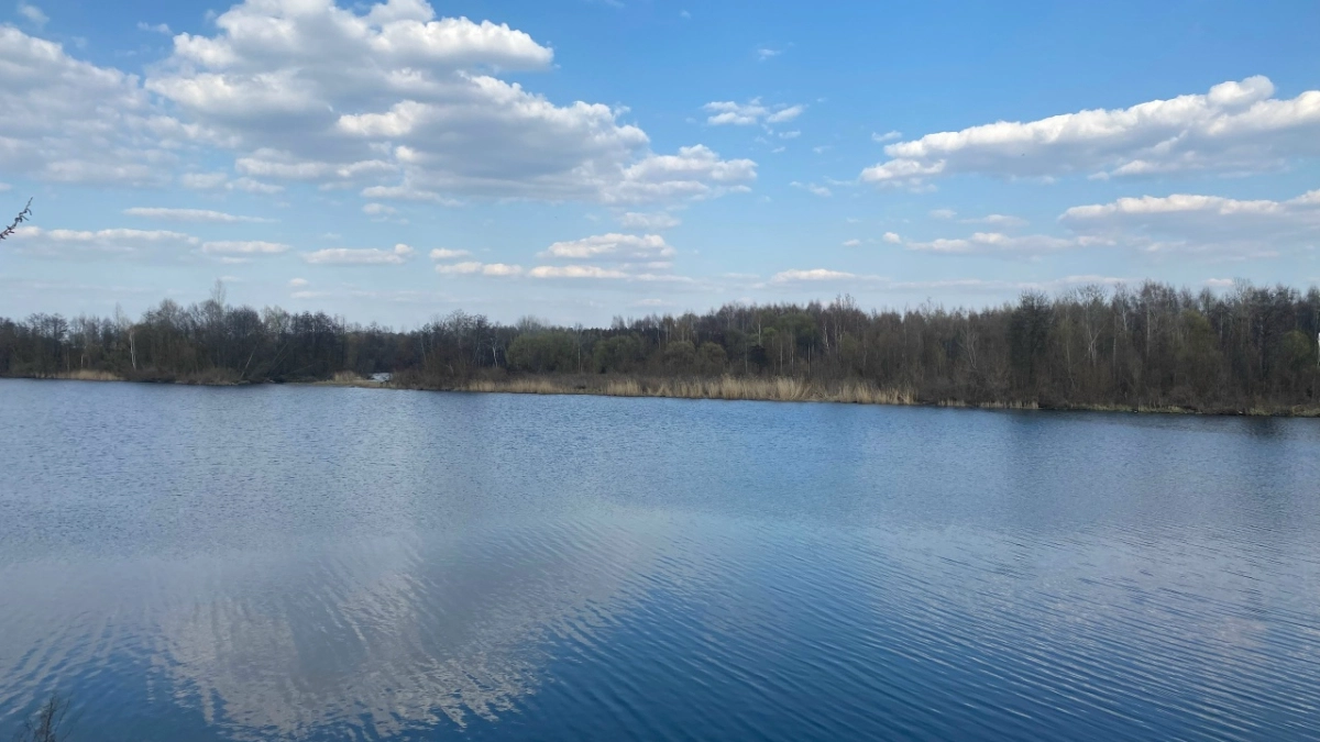 В Мордовии была затоплена дорога между Рузаевкой и Ковылкинским районом
