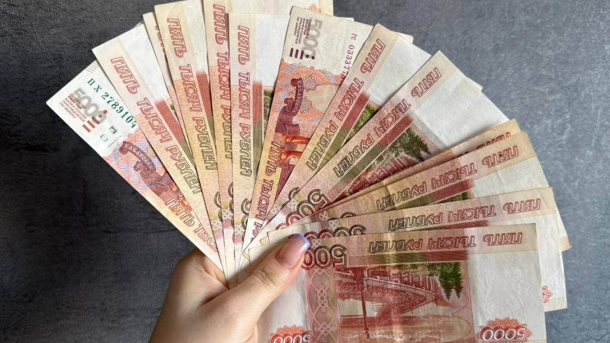 Житель Ковылкинского района предстал перед судом за мошенничество с соцвыплатами