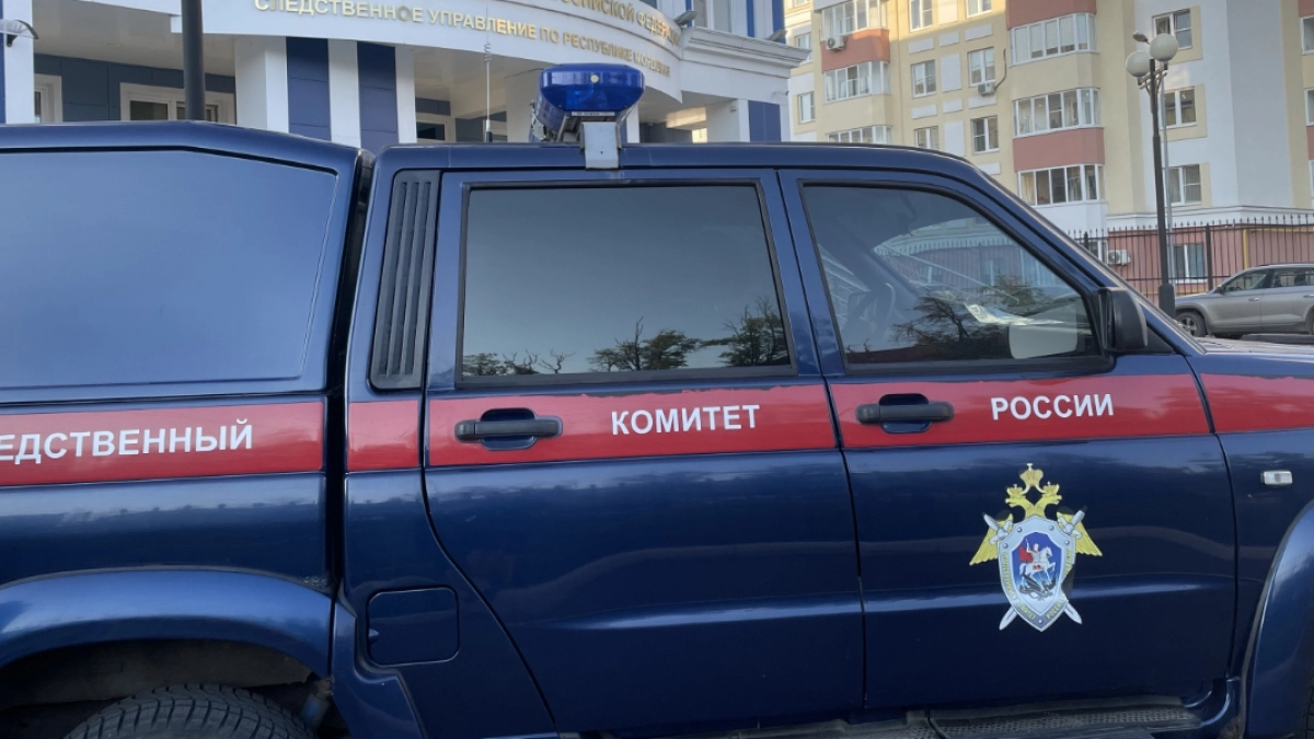 Житель Саранска предстанет перед судом за нападение на росгвардейца