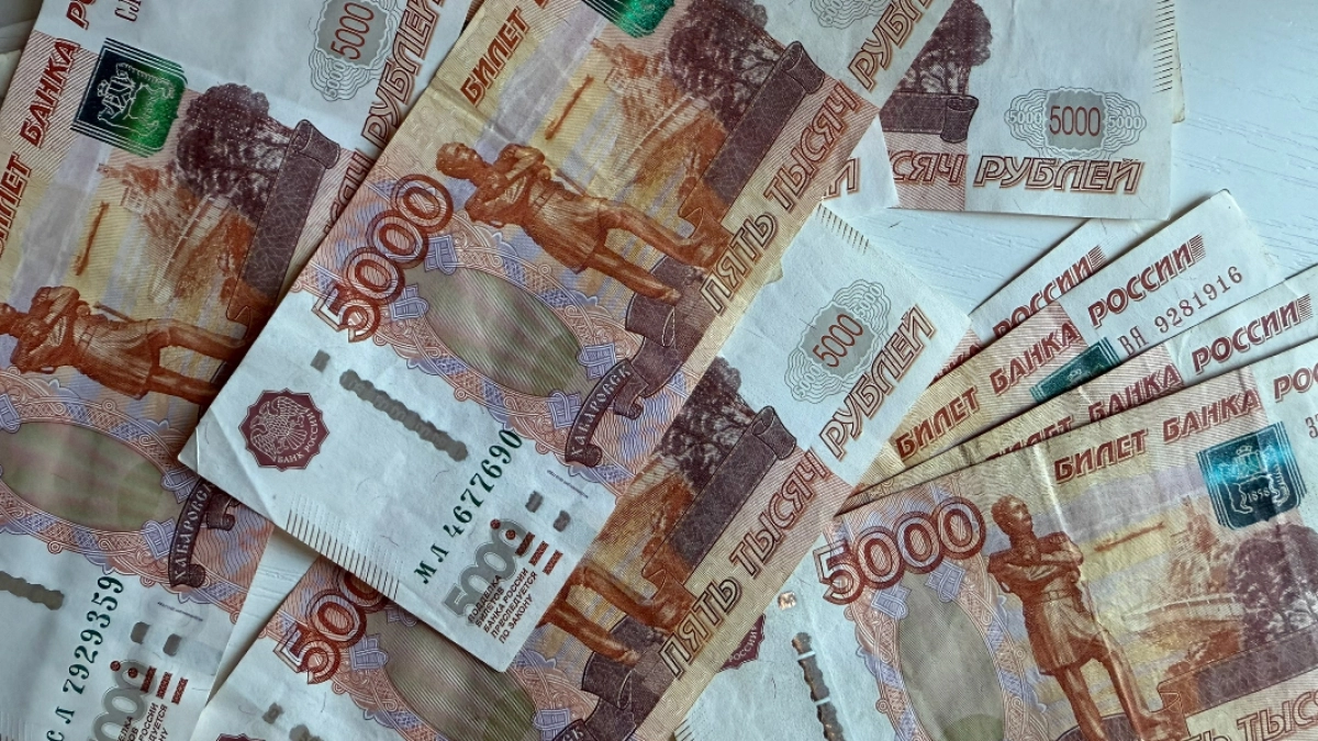 В Мордовии осудили менеджера птицефабрики осудили за кражу более 1,8 млн рублей обманным путем