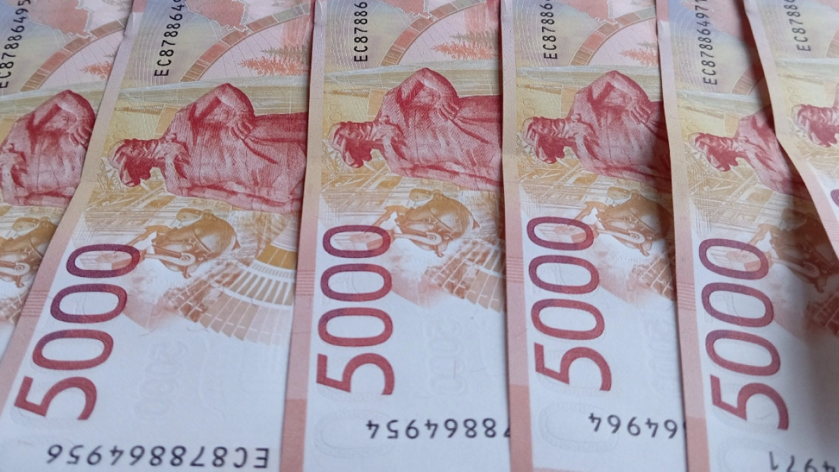 Житель Саранска лишился более 1,6 млн рублей, пытаясь купить машину из-за рубежа