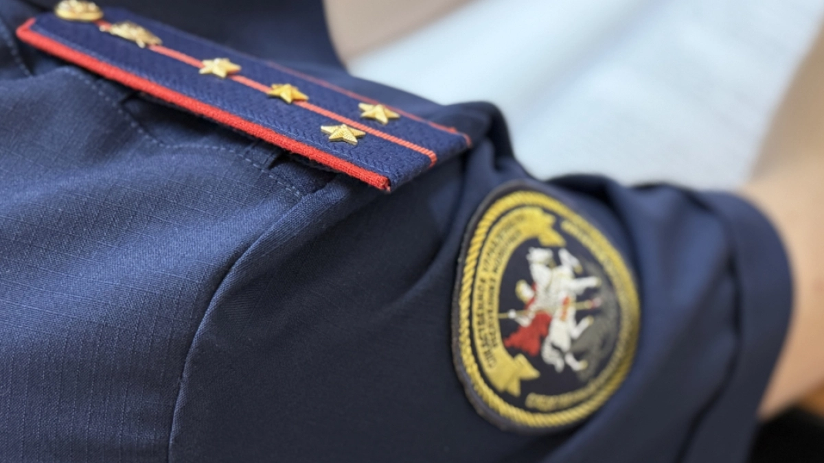 Жительнице Ельниковского района грозит уголовная ответственность за нападение и оскорбление сотрудников ДПС