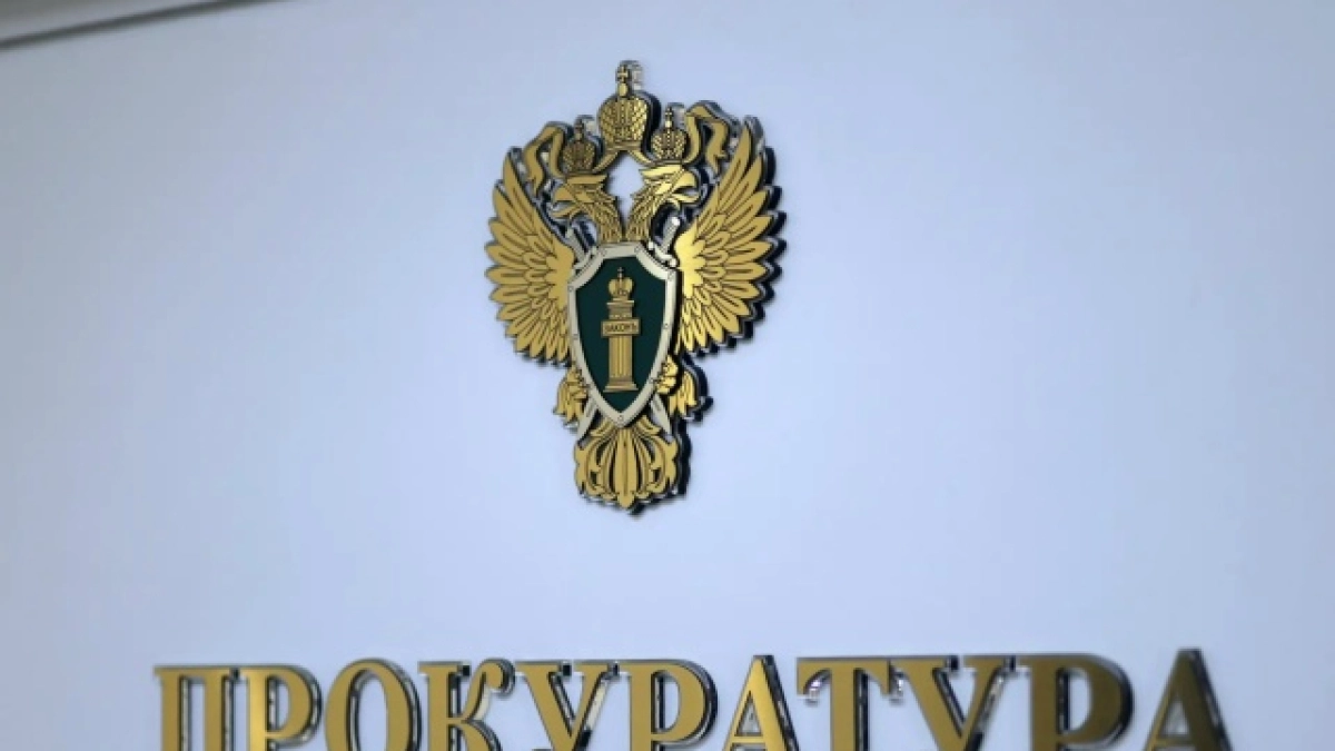 Раскрываемость преступлений в Мордовии составляет 51 процент