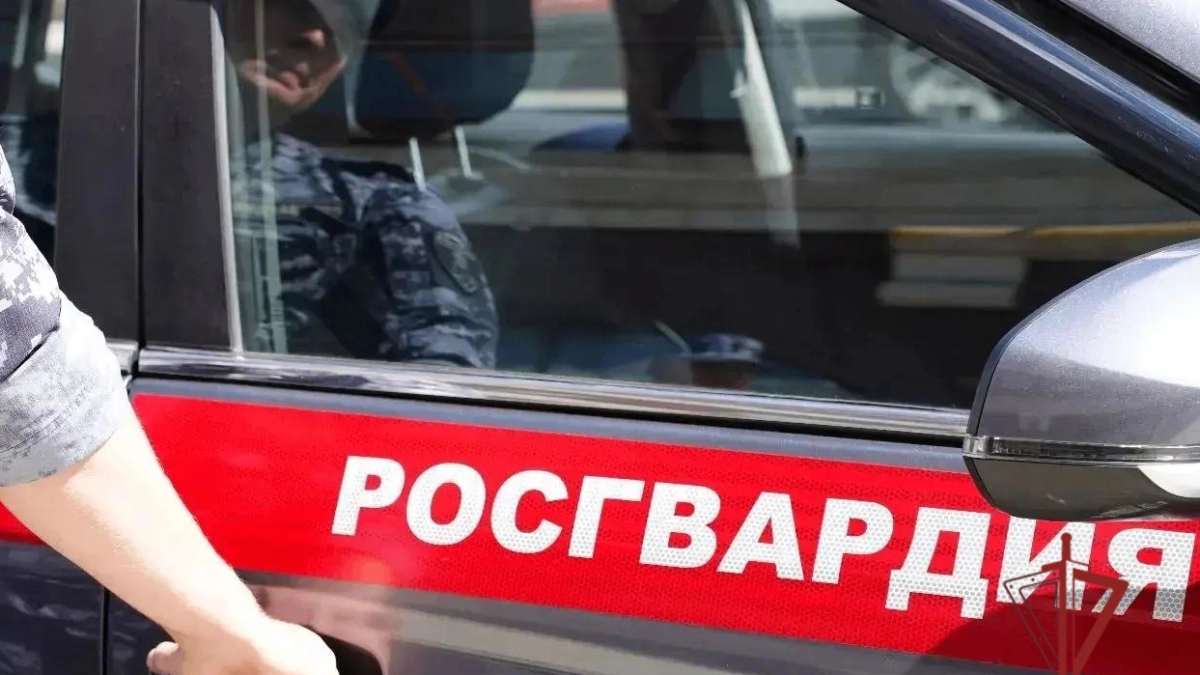 В Саранске росгвардейцы скрутили главного героя торжества прямо на банкете