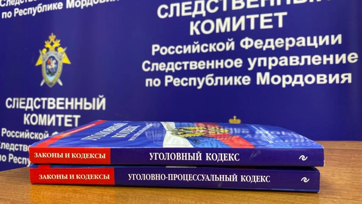 Срок до трех лет: в Мордовии местный житель предстанет перед судом за продажу аккаунтов