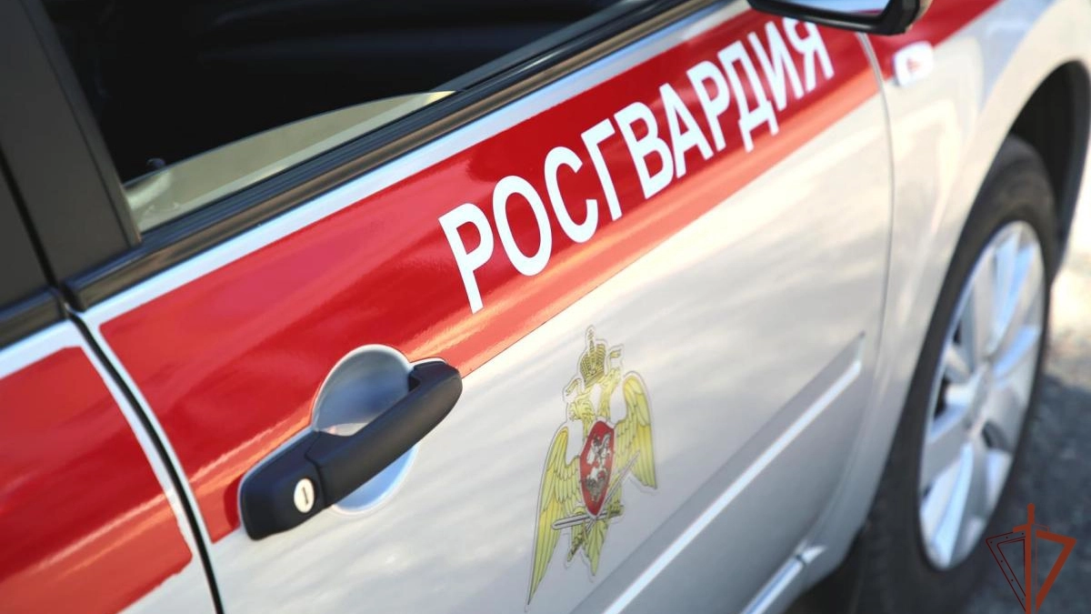 В Саранске нетрезвая женщина ехала на машине матери с сумкой на багажнике 
