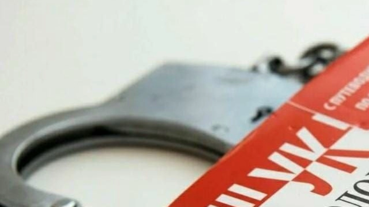Житель Мордовии получил срок 4 года за удар ножом родного брата