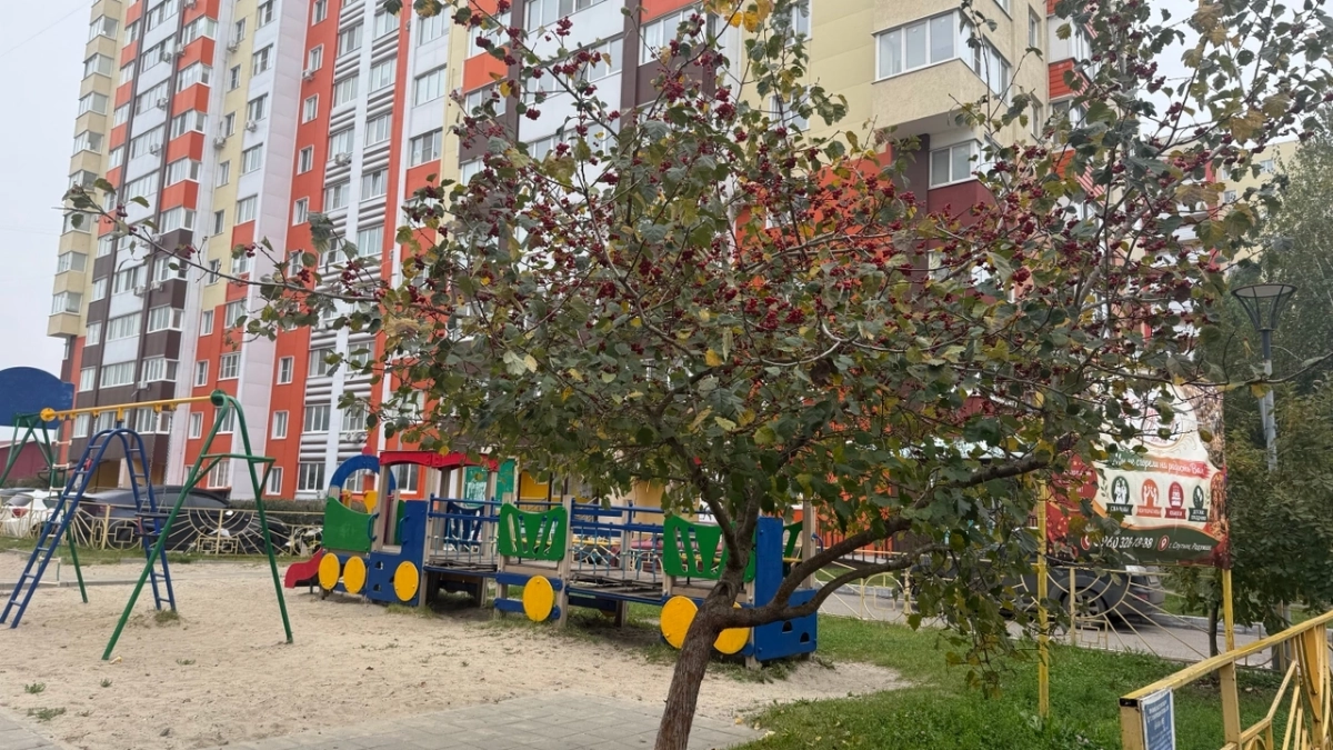 В Мордовию возвращается «почти летнее» тепло до +18 градусов