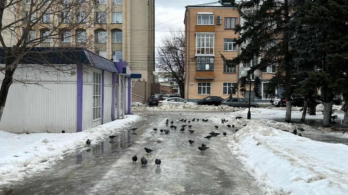 Саранск готовится к зиме с запасом: заготовлено более 25 тысяч тонн пескосоляной смеси