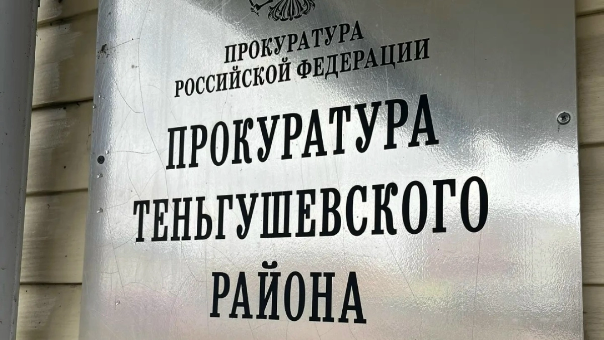 Житель Теньгушева оштрафован на 150 тысяч рублей за нападение на полицейского