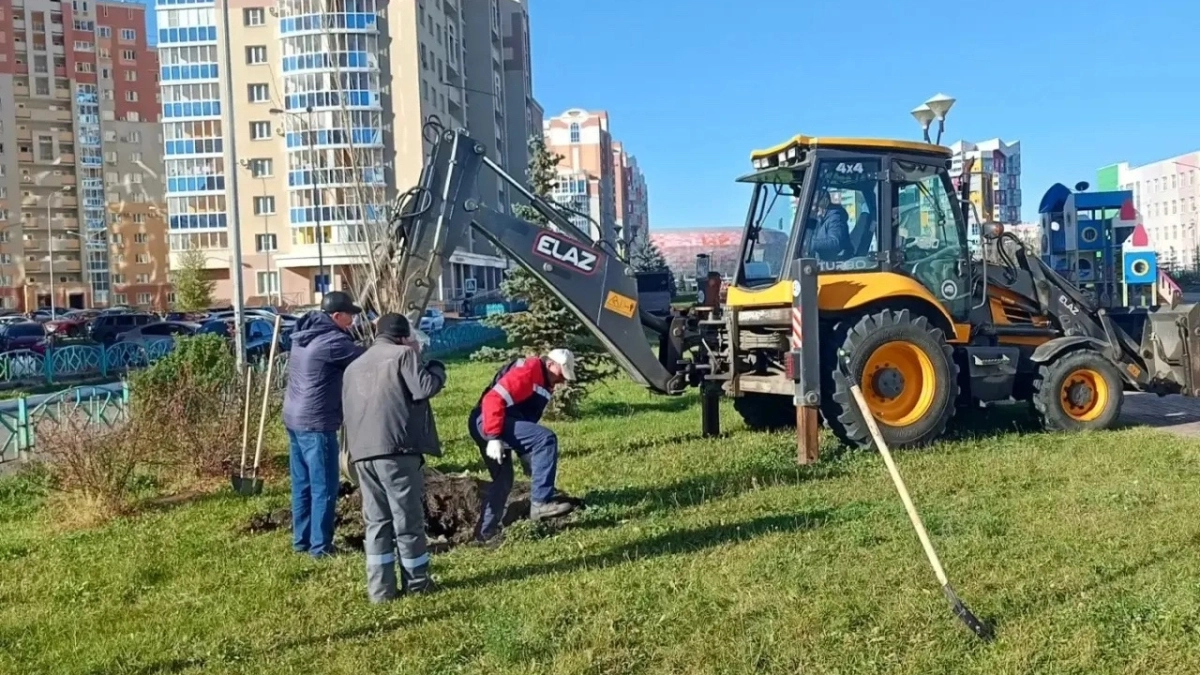 Саранск зеленеет: в «Восточном» высадили 112 сосен, а в «Юбилейном» появились новые породы деревьев