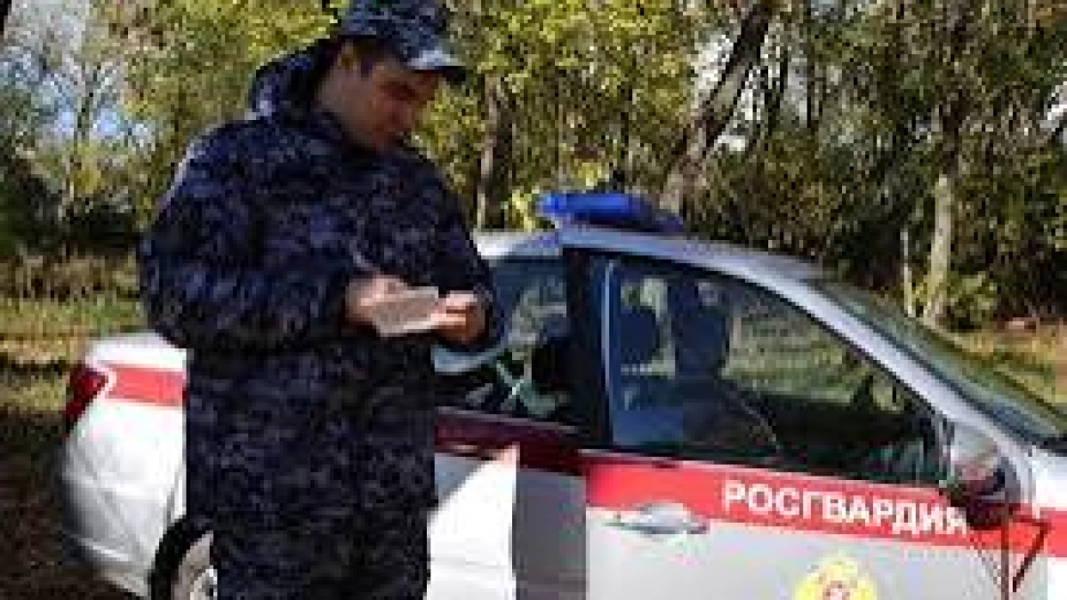Росгвардия отчиталась о громких задержаниях в Мордовии
