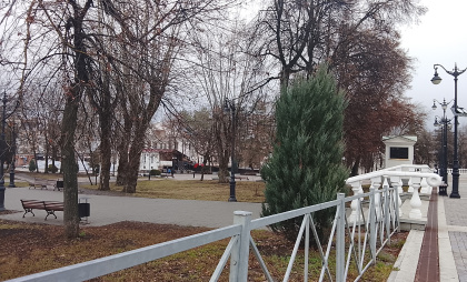 Сосновая аллея украсила территорию возле новой спортплощадки в ЖК «Восточный» 