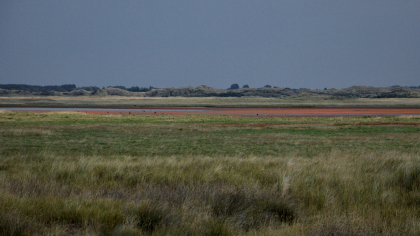 В Мордовии экотропы заповедника привлекли более 15 тысяч туристов
